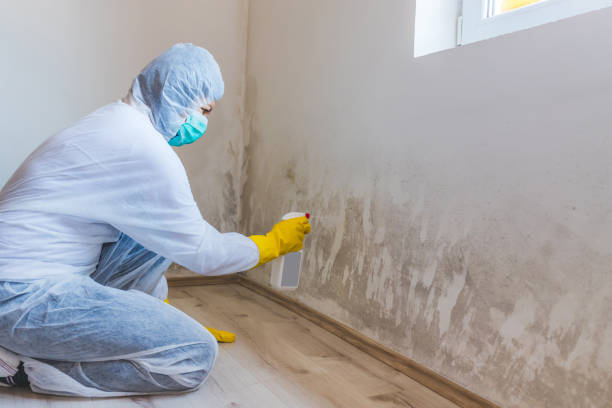 Mold inspector in Easton performing thermal imaging